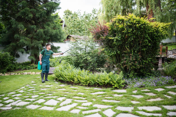 Best Pest Control for Lawns  in Nacogdoches, TX
