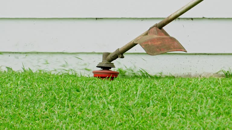 Best Lawn Drainage Solutions  in Nacogdoches, TX